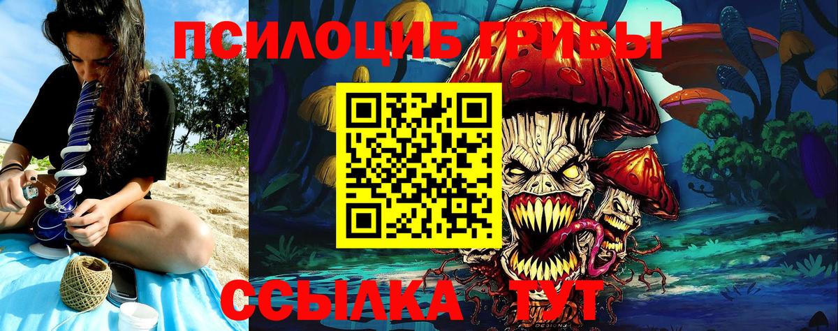 Псилоцибиновые грибы GOLDEN TEACHER  Галлюциногенные грибы Magic Shrooms  Карталы  Вход с VPN 