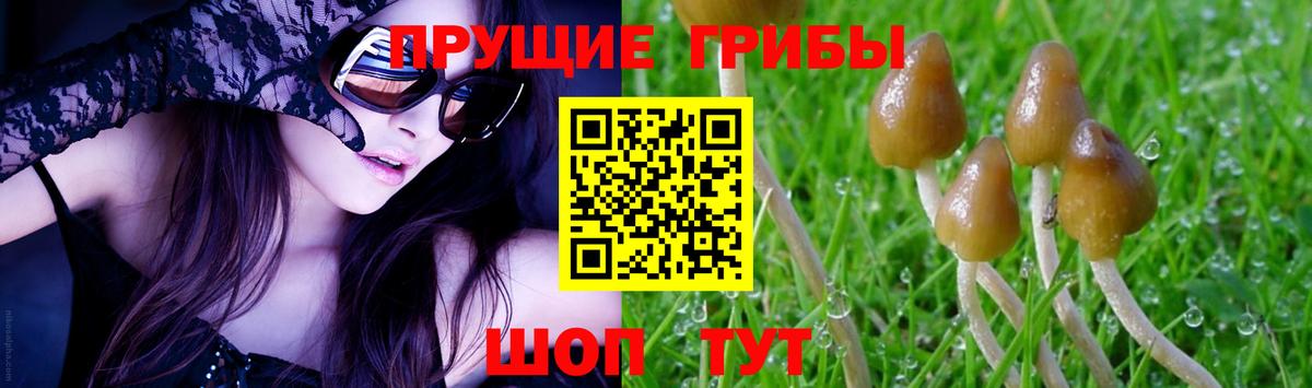 Галлюциногенные грибы мухоморы Карталы